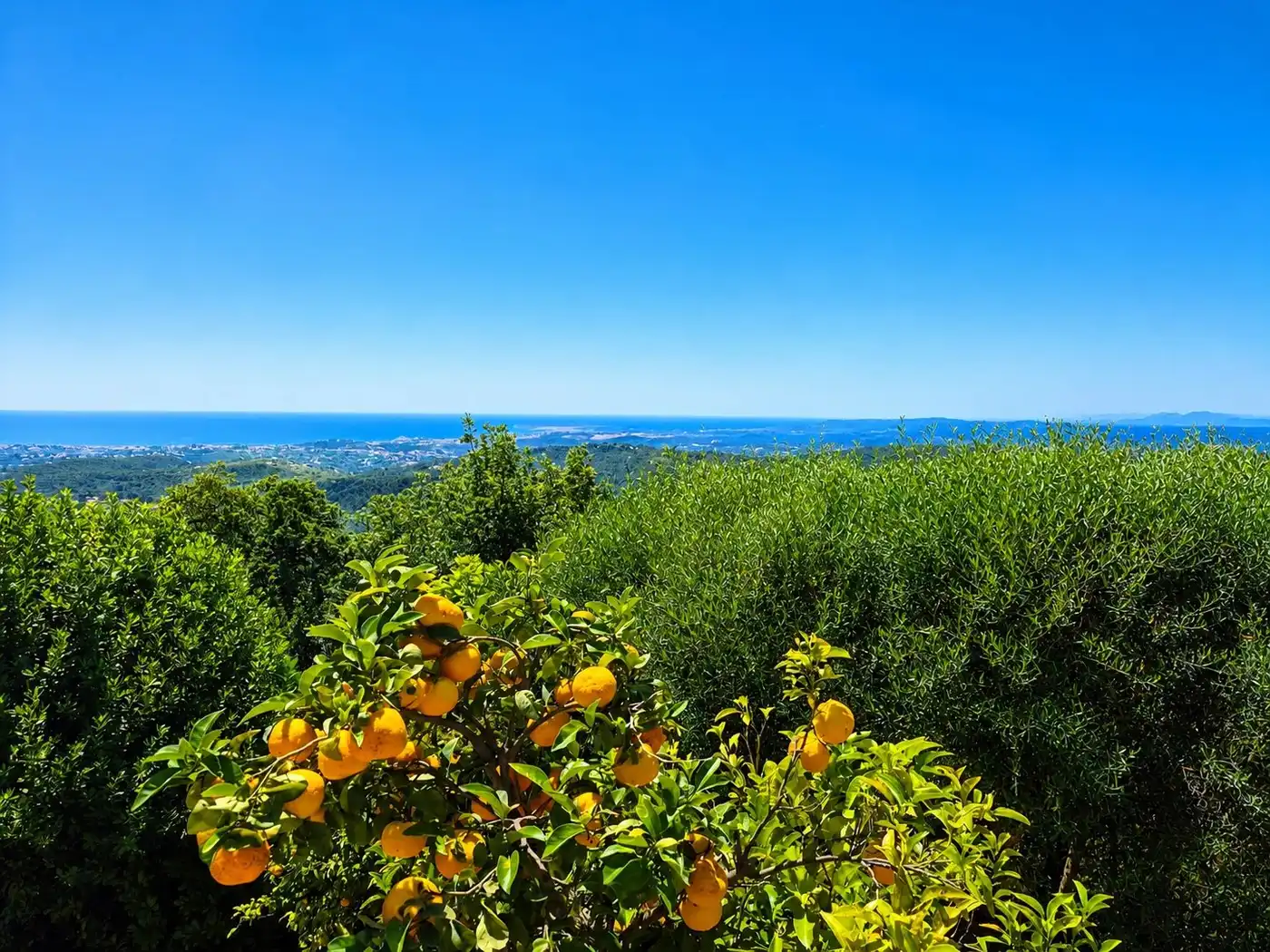  Image of Villa - 6 Bedrooms - 6 Bathrooms for Sale in Alpes-Maritimes-Vence-France, Image 6