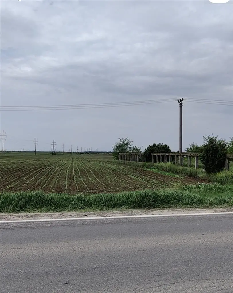 Image of Land for Sale in Braila-Cazasu-Romania, Image 2