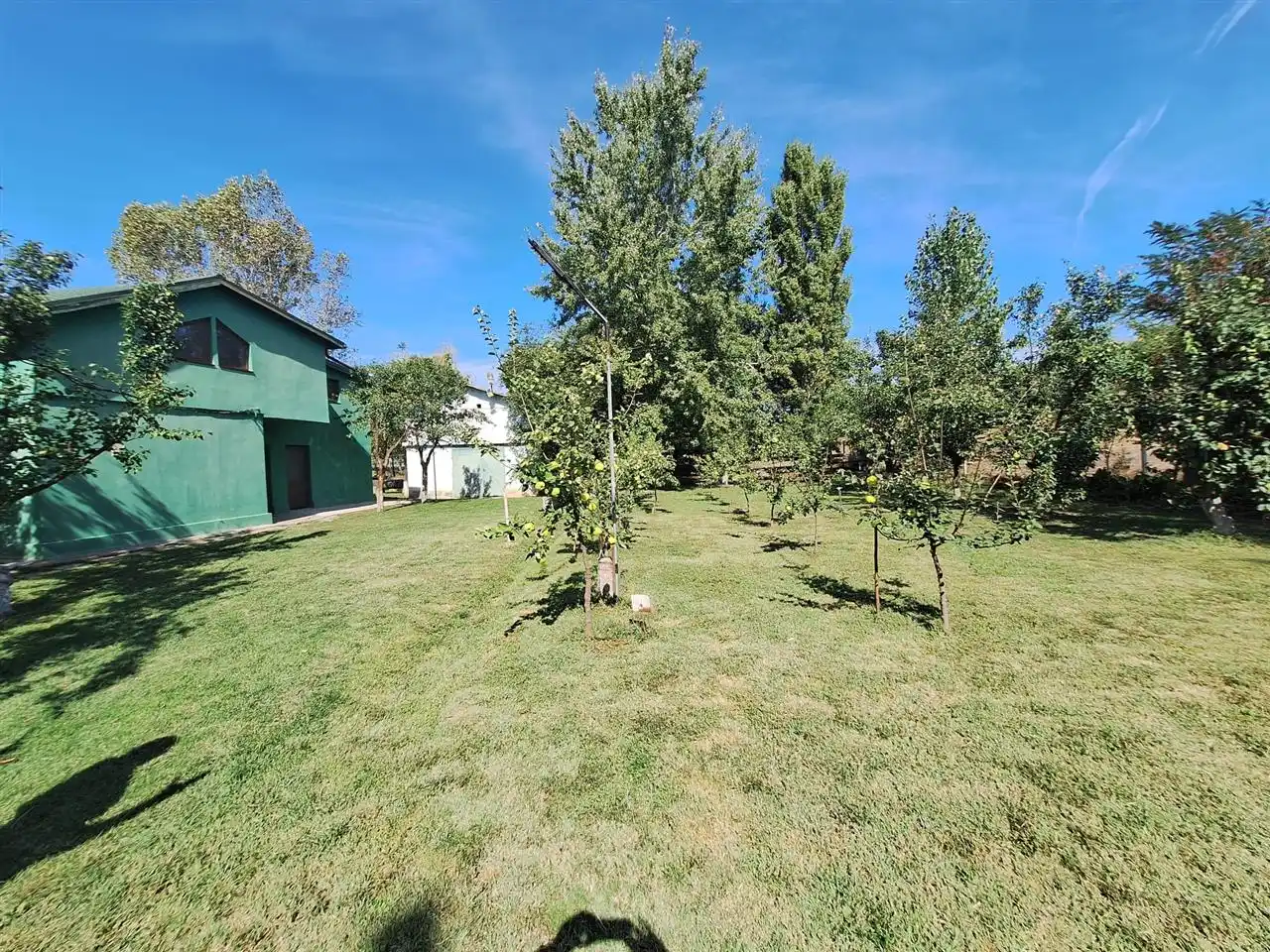 Image of Commercial - 3 Bathrooms for Sale in Braila-Tichilesti-Romania, Image 5