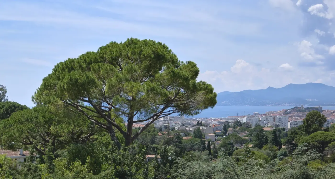 Image of Villa - 5 Bedrooms for Sale in Alpes-Maritimes-Cannes-France, Image 2